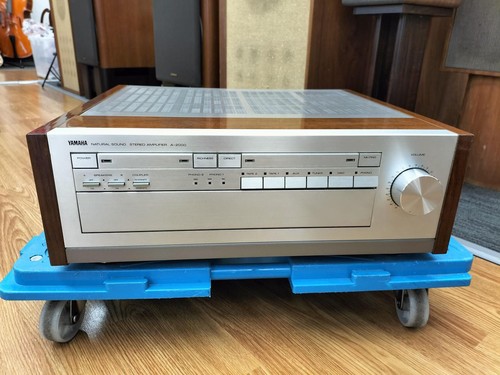 Yamaha primain amplifier - yamaha,